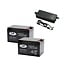 Landport (LP) 2x EVX12-15 accu's 12 volt 15 ah + acculader 24v 2,8A