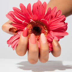 Nails
