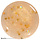 ORLY Butterbeer Topper