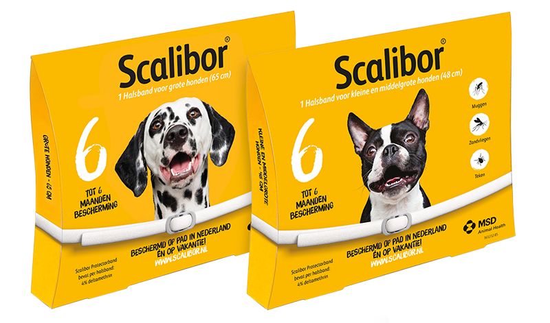 Scalibor Protectorband Hond