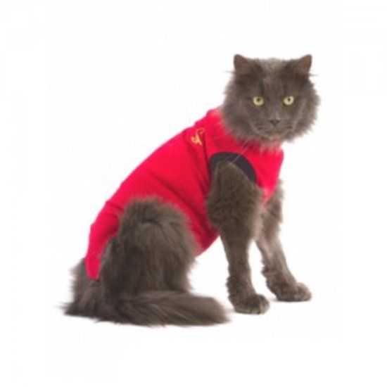 Medical Pet Shirt Kat Xxxxs Rood medical pet shirt kopen in de aanbieding