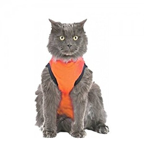 Medical Pet Shirt Kat S Oranje medical pet shirt kopen in de aanbieding