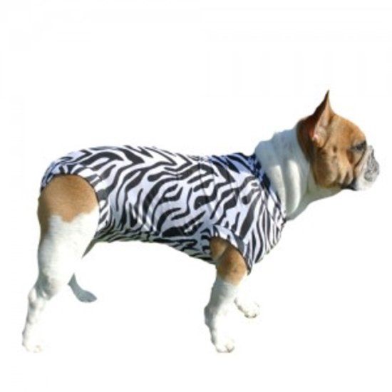 Medical Pet Shirt Hond Xxs Zebraprint medical pet shirt kopen in de aanbieding Medical Pet Shirt Hond Xxs Zebraprint medical pet shirt kopen in de aanbieding