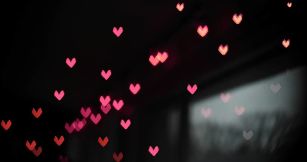 Valentijn met jouw huisdier!