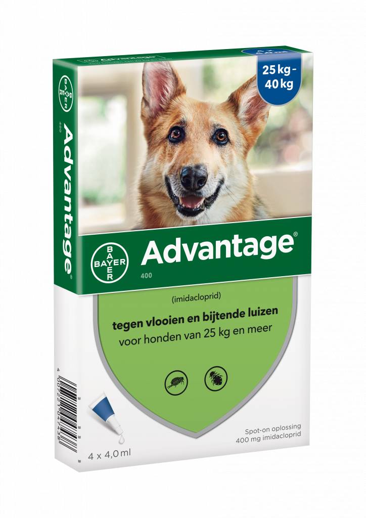 Advantage Hond