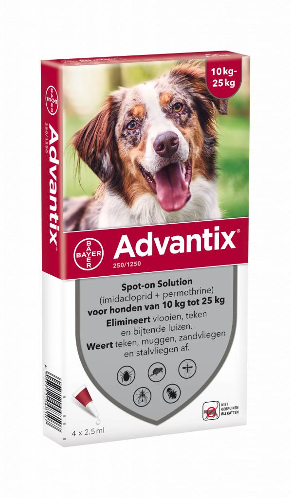 Advantix Hond