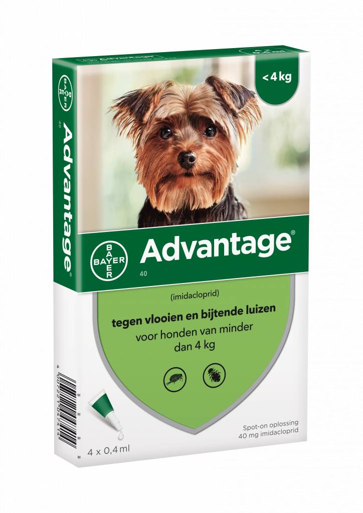 Advantage Hond