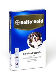 Bolfo Gold Hond