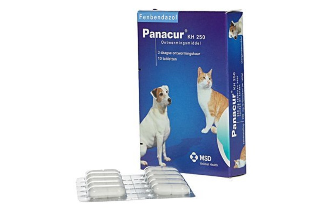 giardia hond panacur