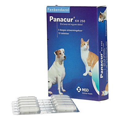 panacur giardia hond