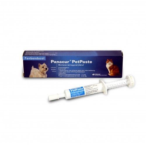 Panacur KH &amp; Pasta Behandeling Wormen en Giardia Hond/Kat Petduka