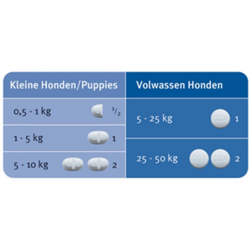 Milbemax Hond