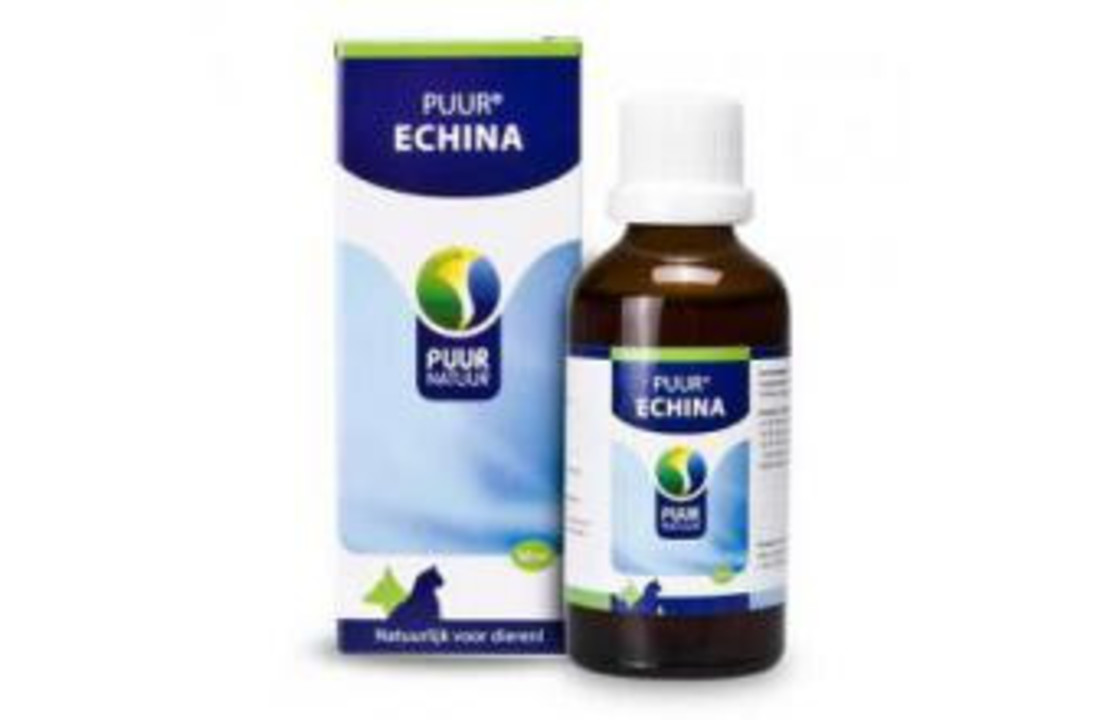 PUUR Echina