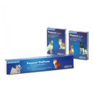 Panacur Hond/Kat