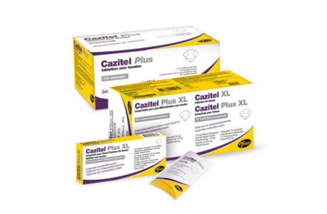 Cazitel Plus
