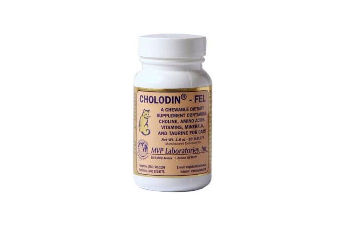Cholodin Kat