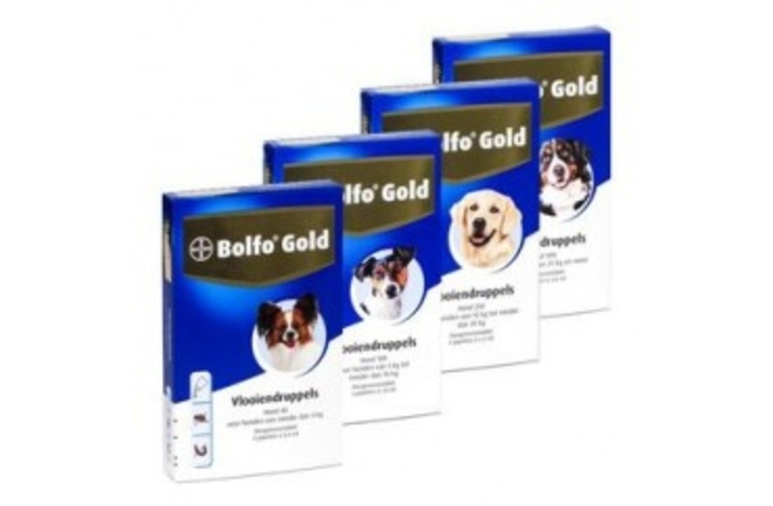 Bolfo Gold Hond