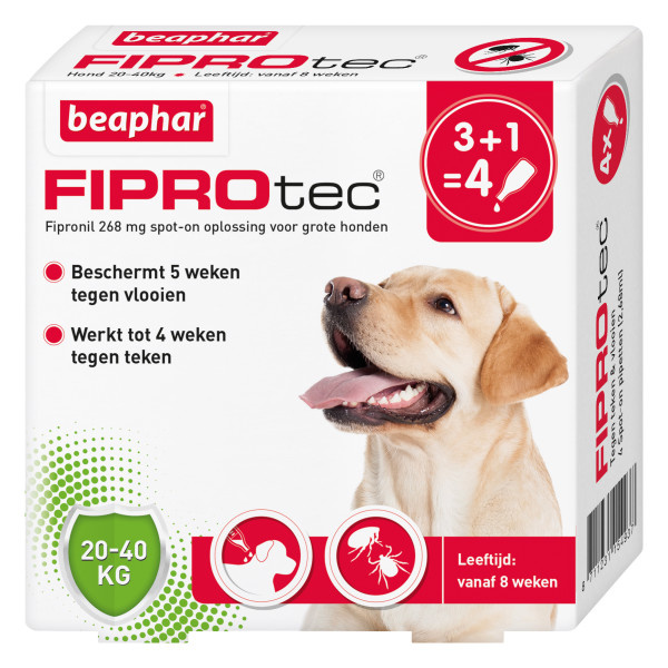Fiprotec Hond
