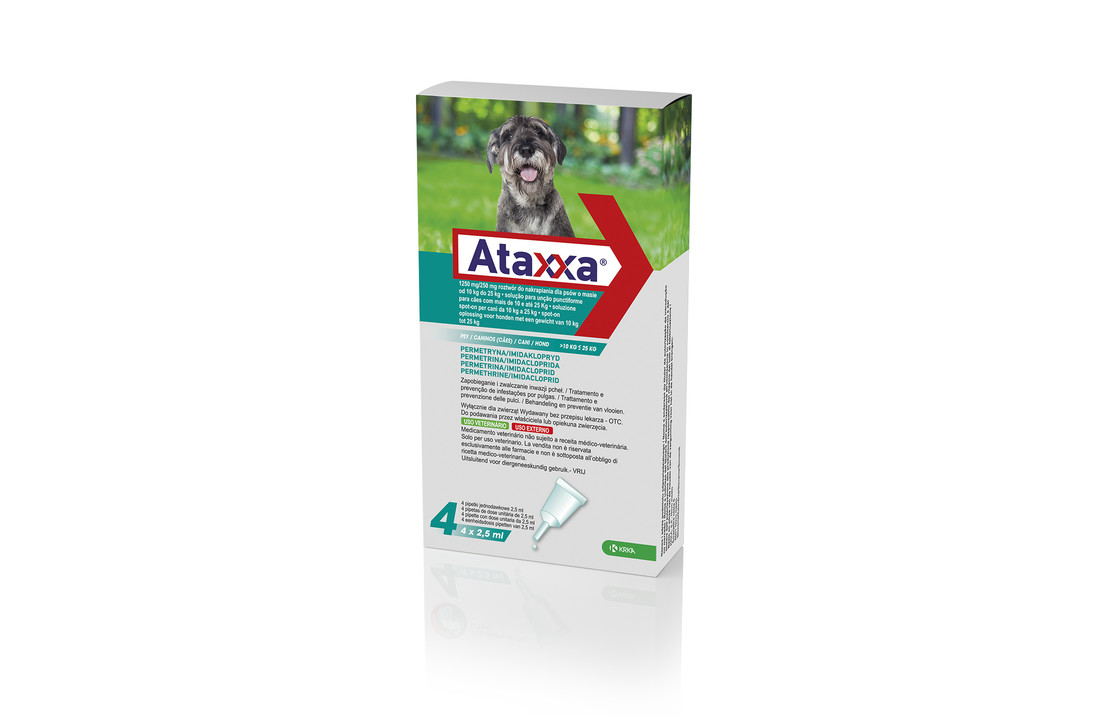 Ataxxa Hond