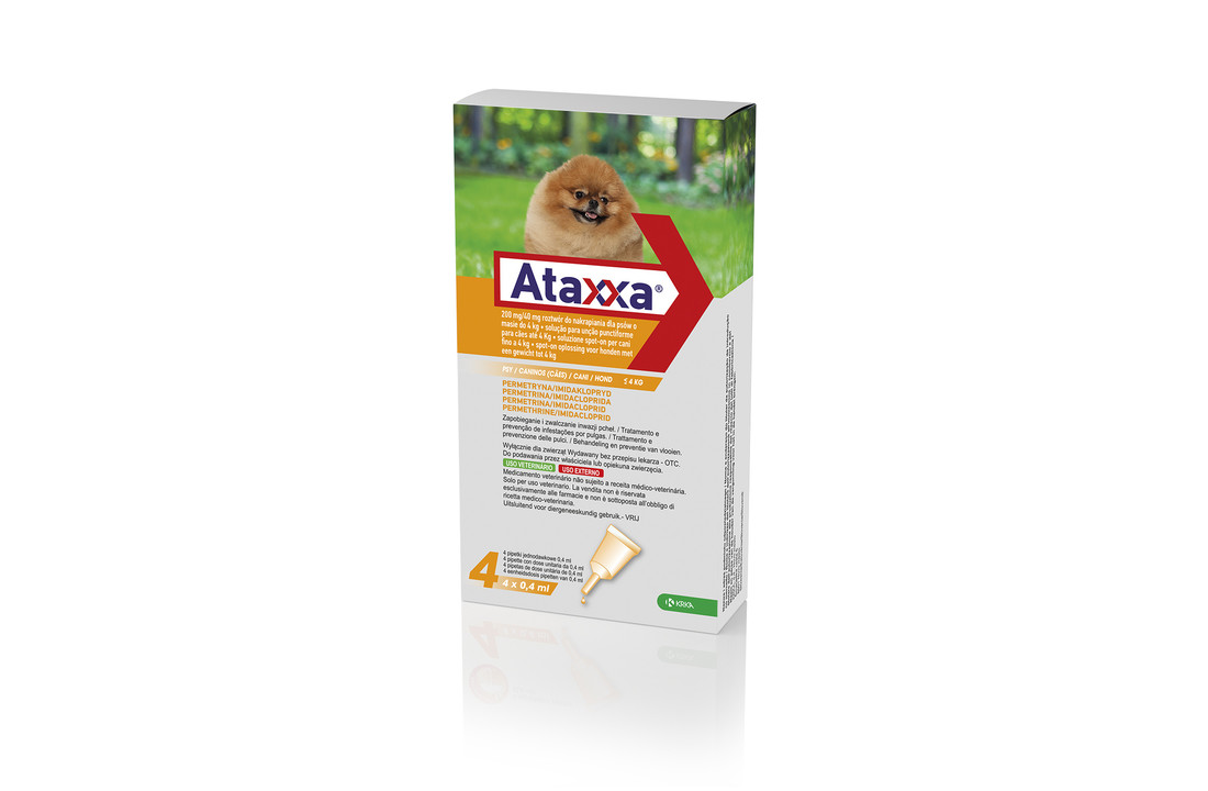 Ataxxa Hond