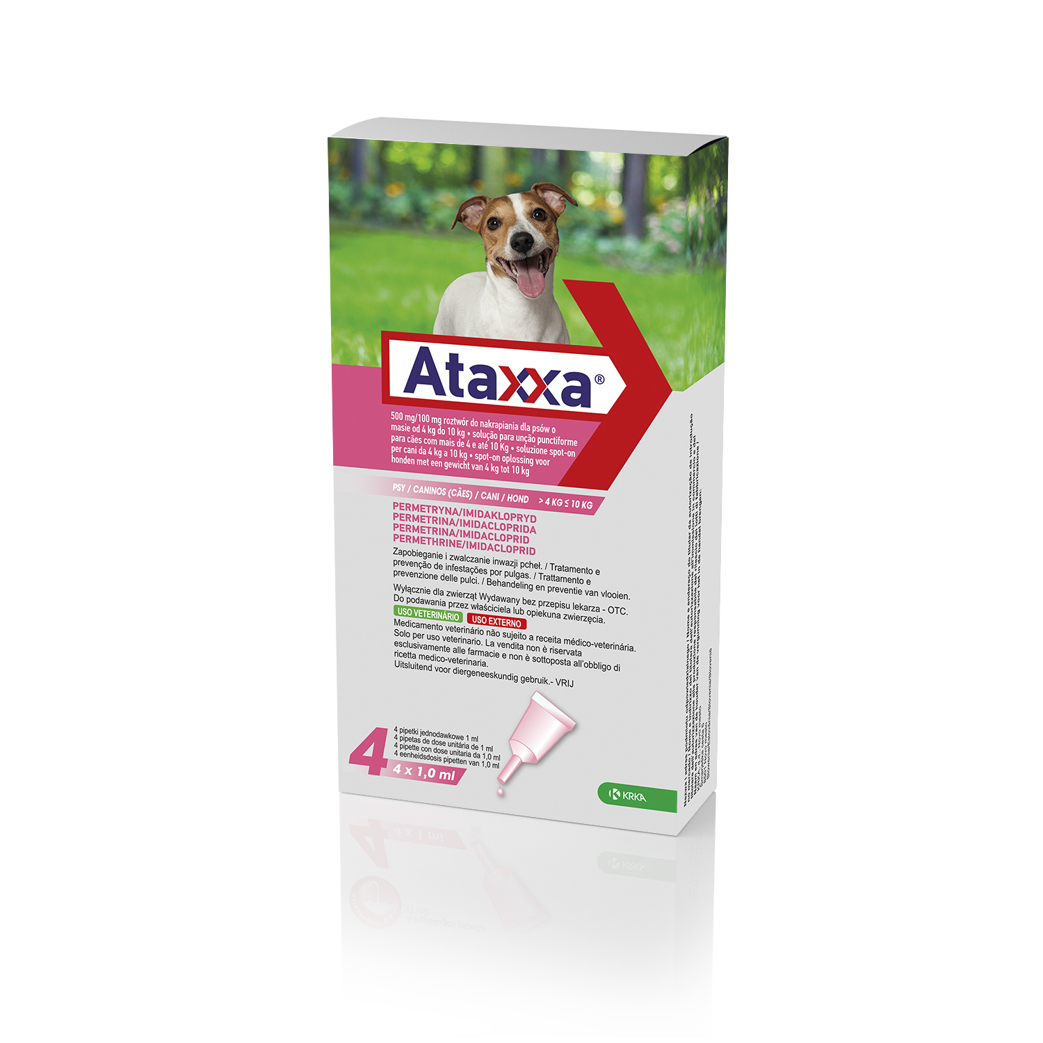 Ataxxa Hond