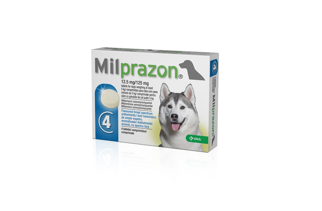 Milprazon Hond