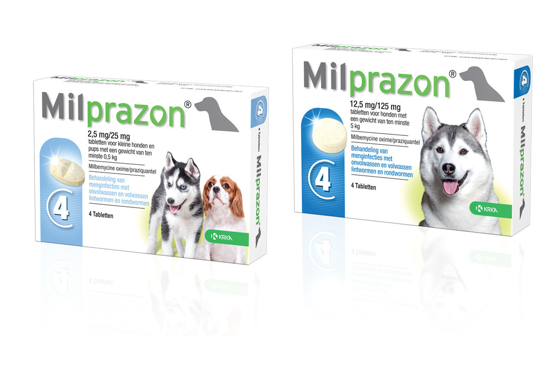Milprazon Hond