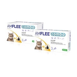 Amflee Combo Kat/Fret