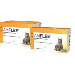 Amflee Kat