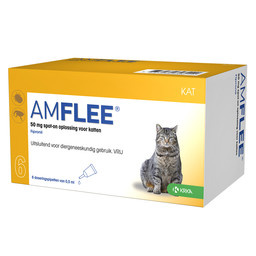 Amflee Kat