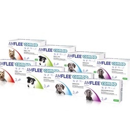 Amflee Combo Hond