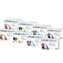 Amflee Amflee Combo Hond