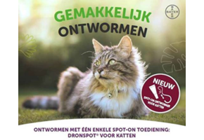 Rafflesia Arnoldi ik draag kleding doel Ontwormen Kat | Bestel Milbemax, Drontal, Panacur & meer - Petduka.nl