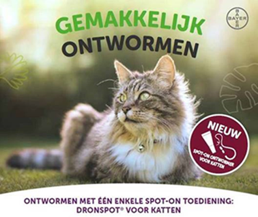 Dronspot Cat