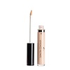 Long Stay Concealer 18