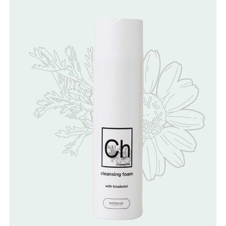 Cleansing Foam