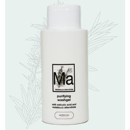 Purifying Wash Gel