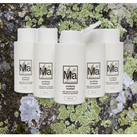 Purifying Wash Gel