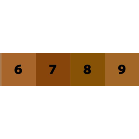 Perfect Face Trial Kit Dark