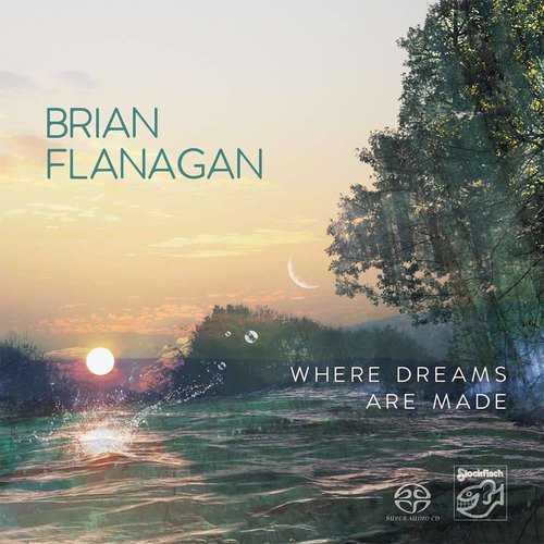 Stockfisch Brian Flanagan - Where dreams are made