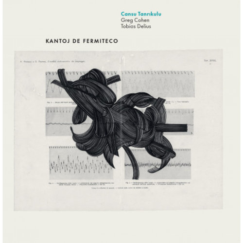 LowSwing Records Cansu Tanrikulu - Kantoj de fermitico