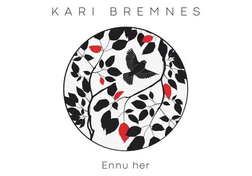 Strange Ways Kari Bremnes - Ennu her