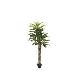 EUROPALMS EUROPALMS Kentia palm tree, artificial plant, 150cm
