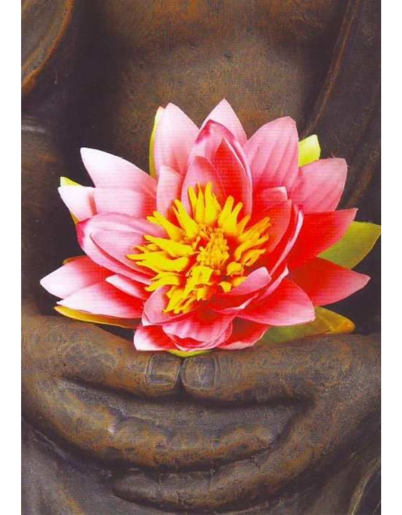 ZintenZ postcard Buddha lotus