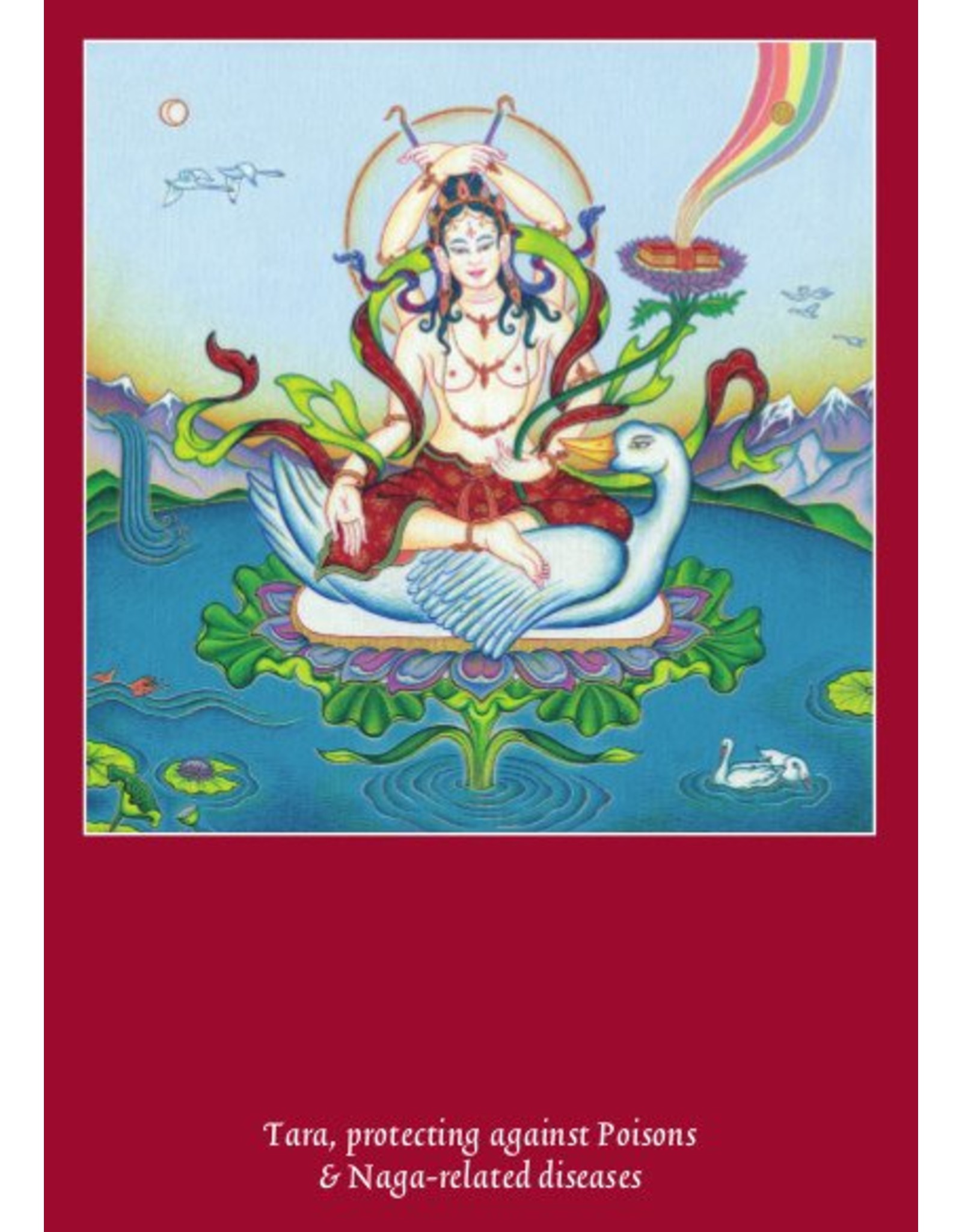 Tibetan Buddhist Art postcard Tara