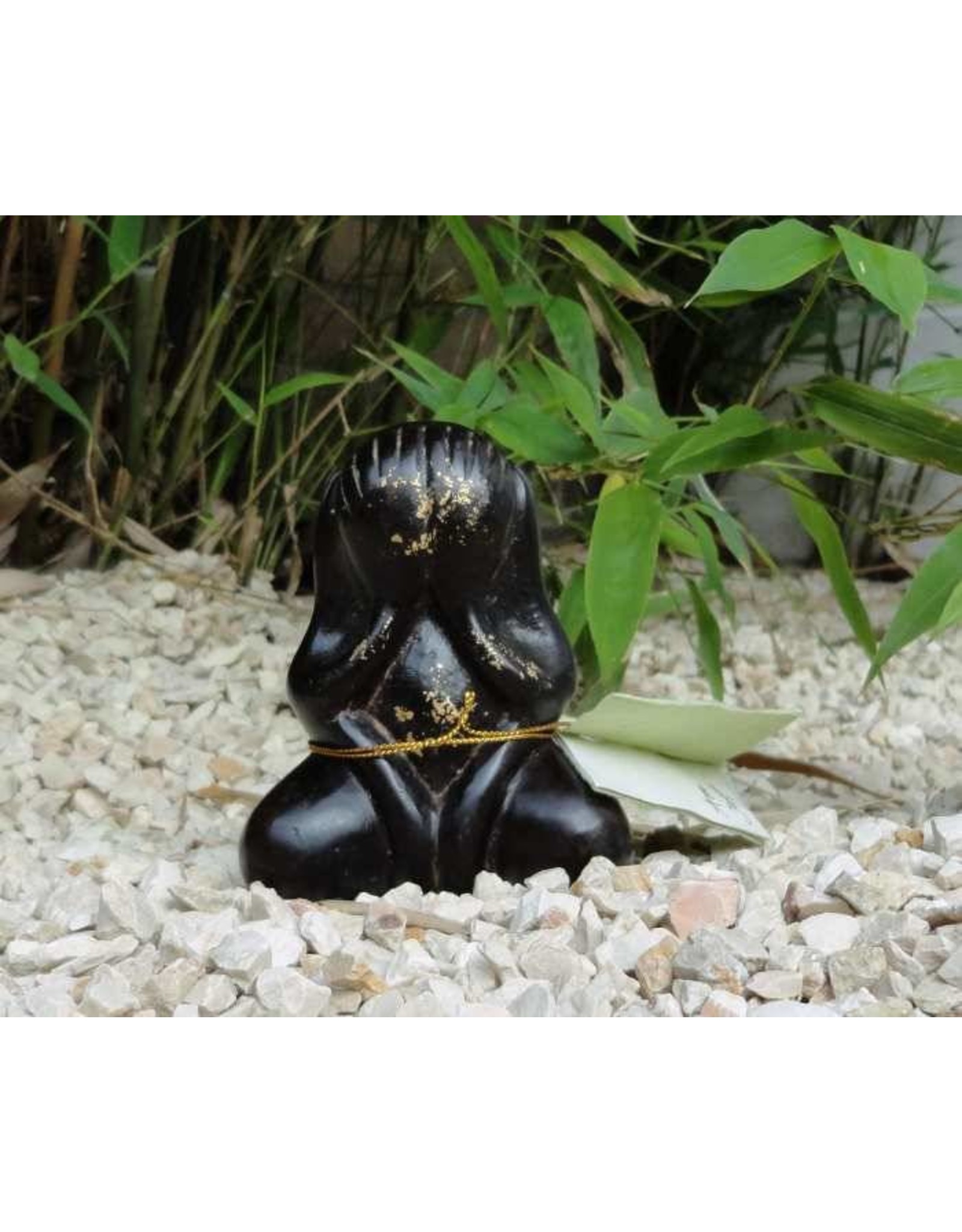 Buddha Phra Pidta brown