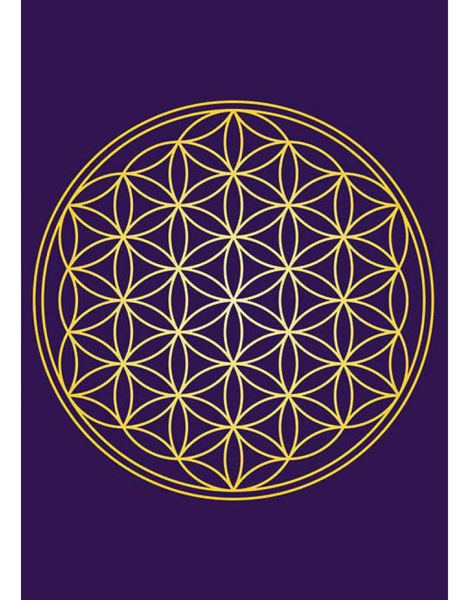 ZintenZ magneet Flower of life