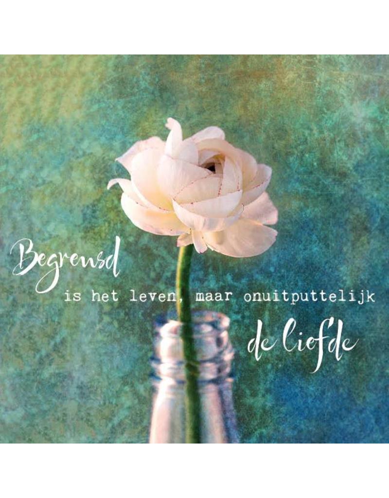 Zintenz Postkaart Begrensd Is Het Leven