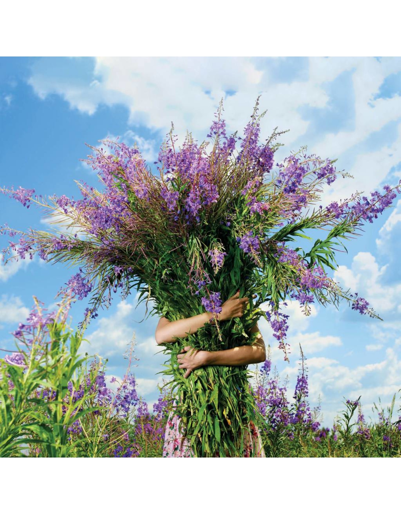 ZintenZ postcard Flowers