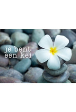 ZintenZ postcard Je bent een kei